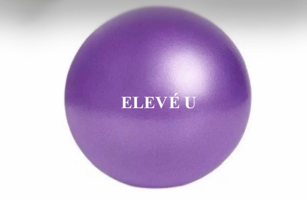 ELEVÈU Weekender Yoga Tote, ELEVÈU Mat, Pilates Ball, Pilates Ring, Resistance Bands, Yoga Block